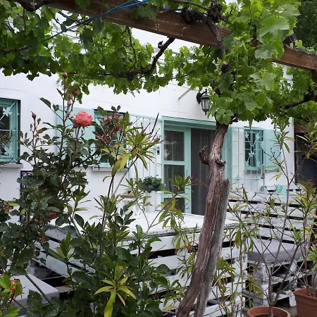 Szőlőskert Badacsony * Badacsonytomaj