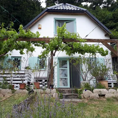 Szőlőskert Badacsony Casa vacanze