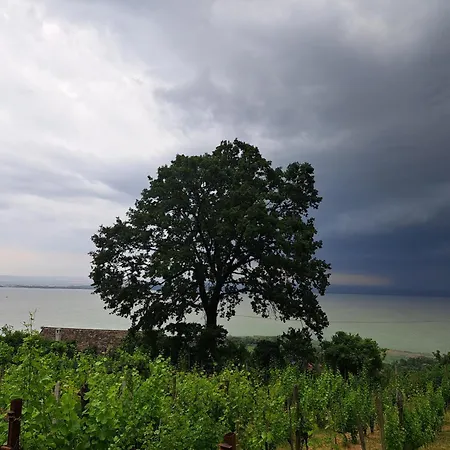 Szoloskert Vendeghaz Badacsony Holiday home Badacsonytomaj