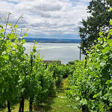 Casa vacanze Szőlőskert Badacsony Badacsonytomaj