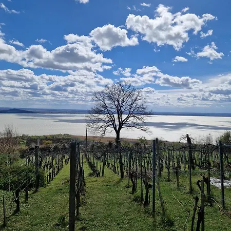 Szőlőskert Badacsony