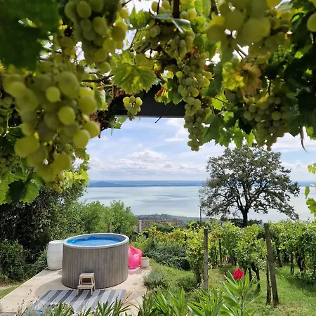 Szoloskert Vendeghaz Badacsony Holiday home Badacsonytomaj