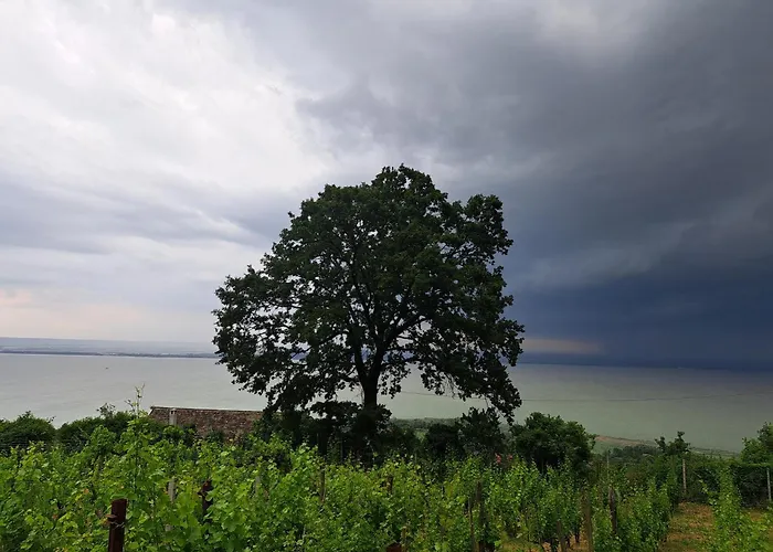 Szoloskert Vendeghaz Badacsony בית נופש בדקסוניטומאי