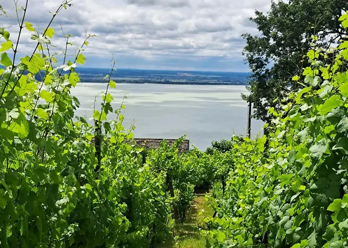 בית נופש Szoloskert Vendeghaz Badacsony בדקסוניטומאי