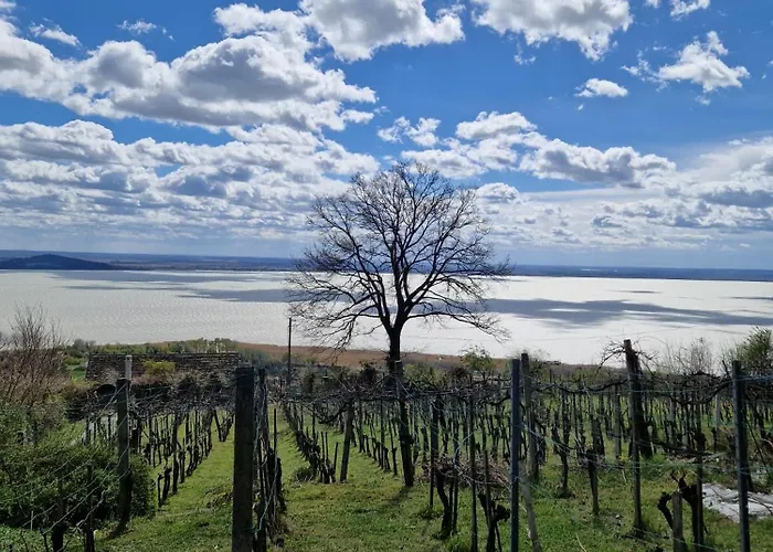 Szoloskert Vendeghaz Badacsony