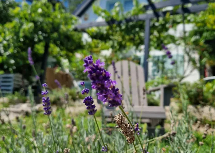 Szoloskert Vendeghaz Badacsony Feriehus Badacsonytomaj