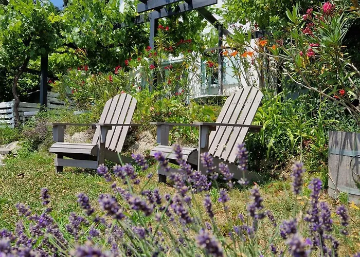 Szoloskert Vendeghaz Badacsony *